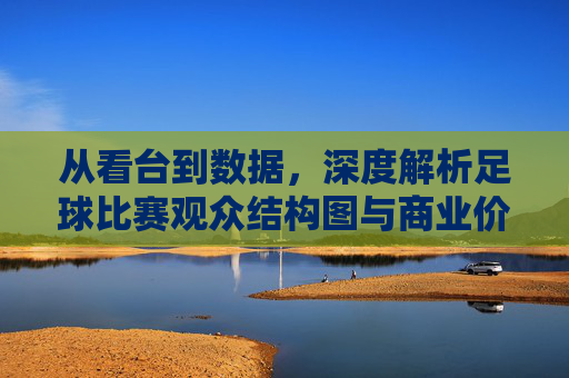 从看台到数据,深度解析足球比赛观众结构图与商业价值
