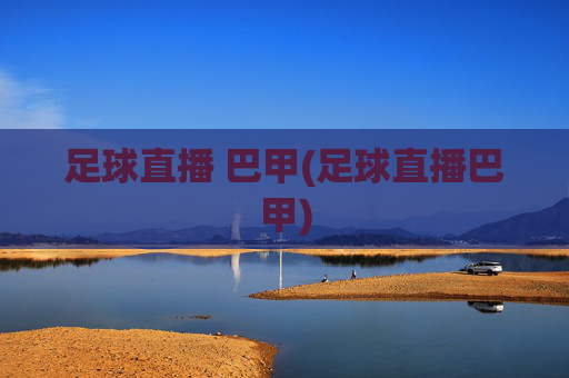 足球直播 巴甲(足球直播巴甲)