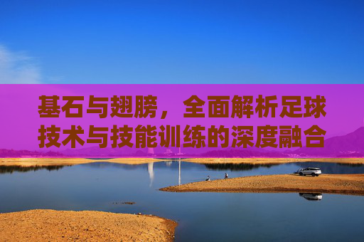 基石与翅膀,全面解析足球技术与技能训练的深度融合