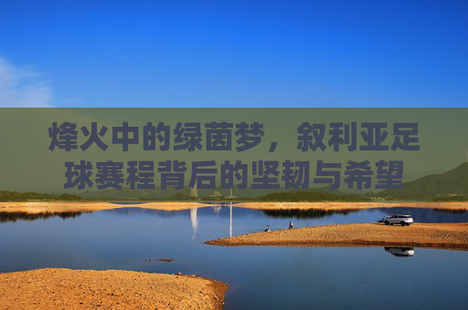 烽火中的绿茵梦,叙利亚足球赛程背后的坚韧与希望