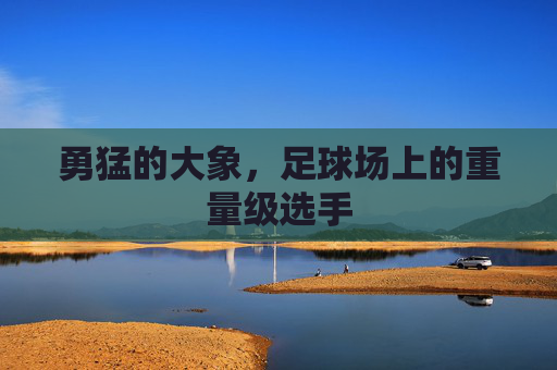 勇猛的大象，足球场上的重量级选手