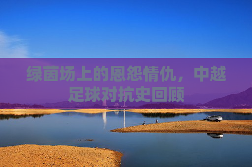 绿茵场上的恩怨情仇,中越足球对抗史回顾