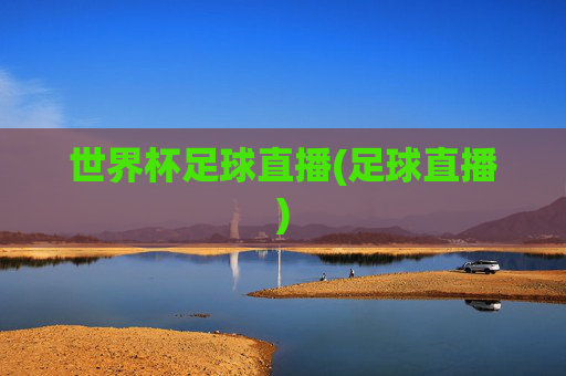 世界杯足球直播(足球直播)