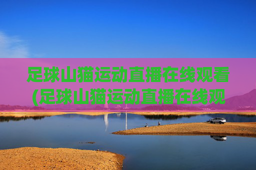 足球山猫运动直播在线观看(足球山猫运动直播在线观看视频)