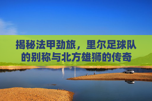 揭秘法甲劲旅,里尔足球队的别称与北方雄狮的传奇