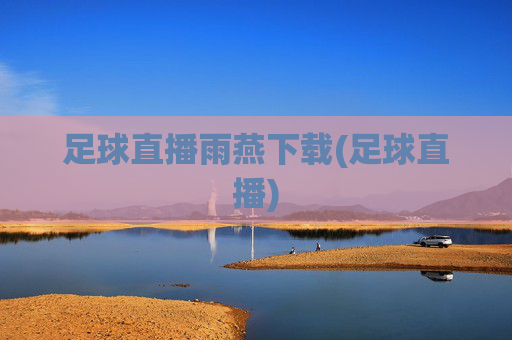 足球直播雨燕下载(足球直播)