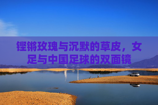 铿锵玫瑰与沉默的草皮,女足与中国足球的双面镜