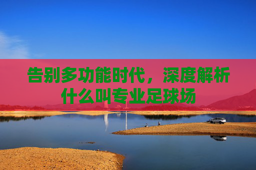 告别多功能时代,深度解析什么叫专业足球场