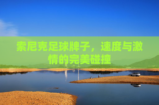 索尼克足球牌子，速度与激情的完美碰撞