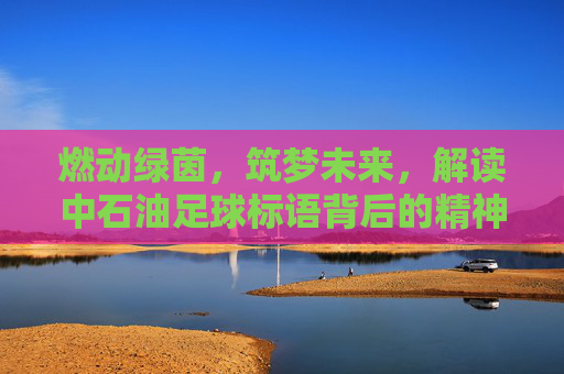 燃动绿茵,筑梦未来,解读中石油足球标语背后的精神力量