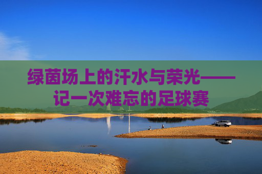 绿茵场上的汗水与荣光——记一次难忘的足球赛