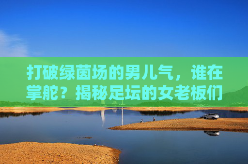 打破绿茵场的男儿气,谁在掌舵?揭秘足坛的女老板们