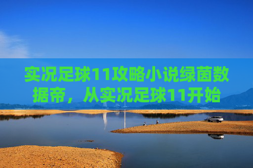 实况足球11攻略小说绿茵数据帝,从实况足球11开始的王朝霸业