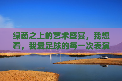 绿茵之上的艺术盛宴，我想看，我爱足球的每一次表演