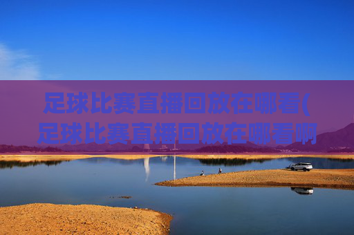 足球比赛直播回放在哪看(足球比赛直播回放在哪看啊)