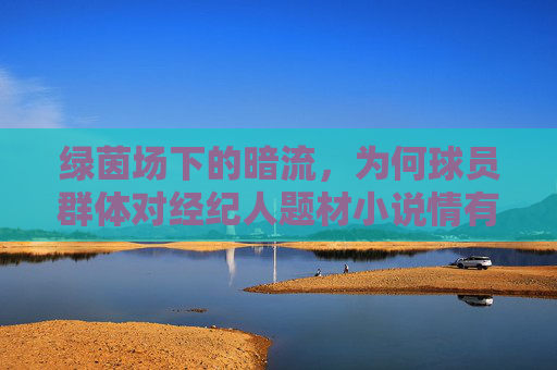 绿茵场下的暗流,为何球员群体对经纪人题材小说情有独钟?