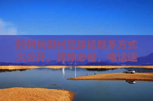 胶州刘家村足球场联系方式大公开,踢球必备,电话速存!