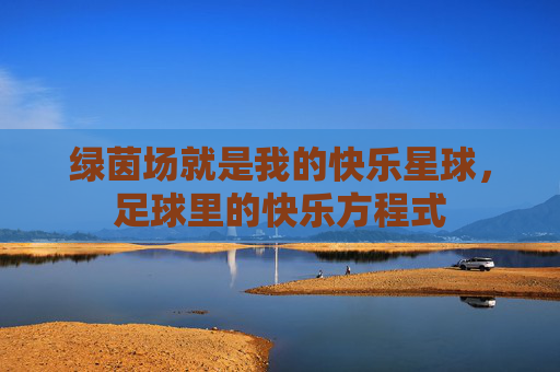 绿茵场就是我的快乐星球,足球里的快乐方程式