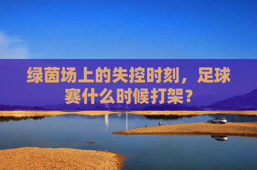 绿茵场上的失控时刻,足球赛什么时候打架?