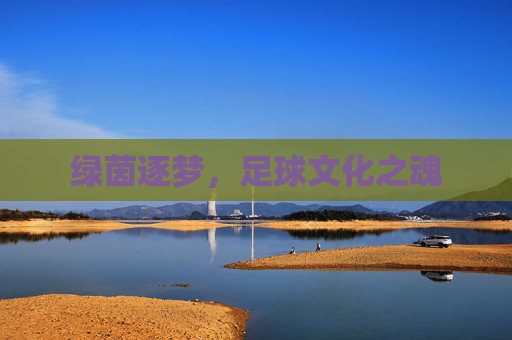 绿茵逐梦,足球文化之魂