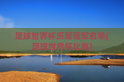 足球世界杯历届冠军名单(足球世界杯比赛)