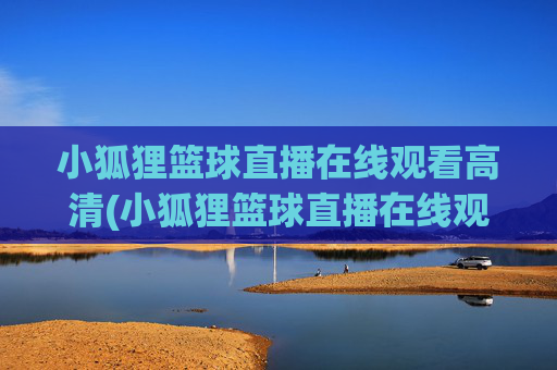 小狐狸篮球直播在线观看高清(小狐狸篮球直播在线观看高清视频)