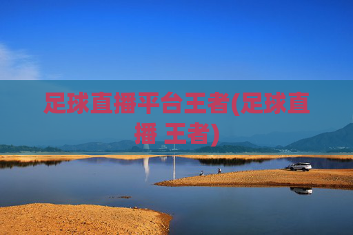 足球直播平台王者(足球直播 王者)