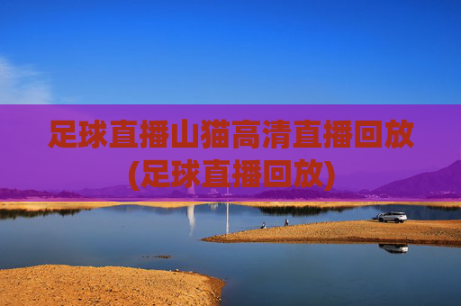 足球直播山猫高清直播回放(足球直播回放)