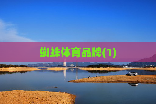 蜘蛛体育品牌(1)