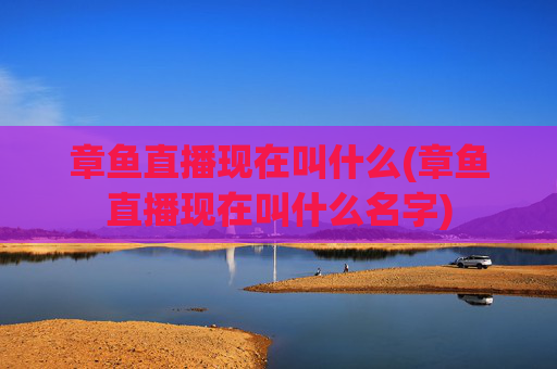 章鱼直播现在叫什么(章鱼直播现在叫什么名字)