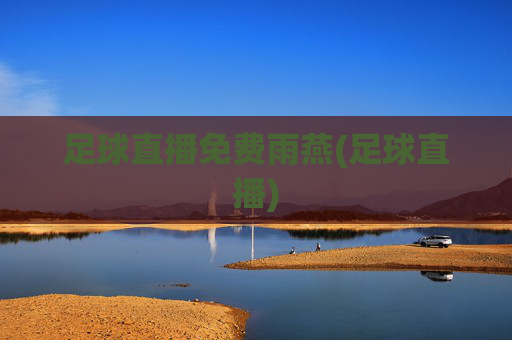 足球直播免费雨燕(足球直播)