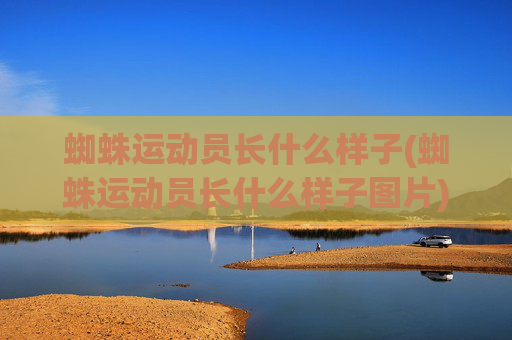 蜘蛛运动员长什么样子(蜘蛛运动员长什么样子图片)