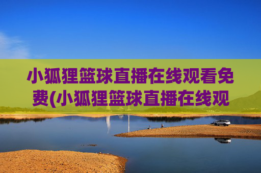 小狐狸篮球直播在线观看免费(小狐狸篮球直播在线观看免费视频)