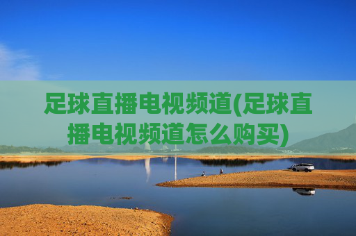 足球直播电视频道(足球直播电视频道怎么购买)