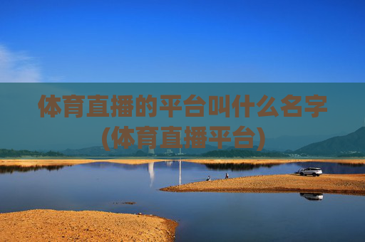 体育直播的平台叫什么名字(体育直播平台)