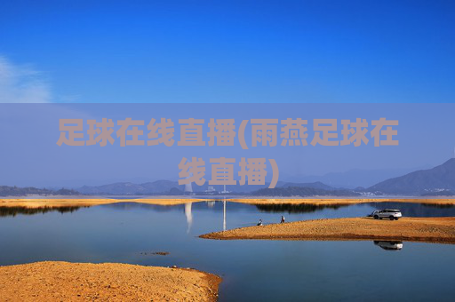 足球在线直播(雨燕足球在线直播)