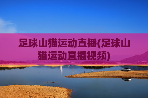 足球山猫运动直播(足球山猫运动直播视频)