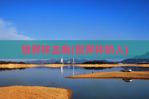 世界杯主角(世界杯的人)