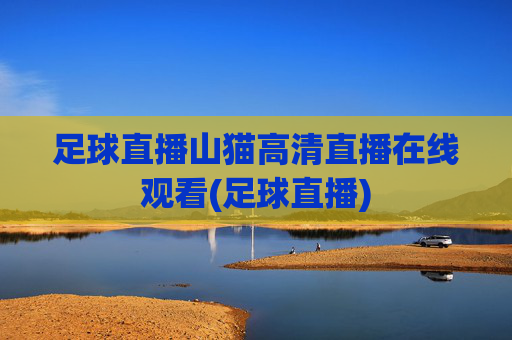 足球直播山猫高清直播在线观看(足球直播)