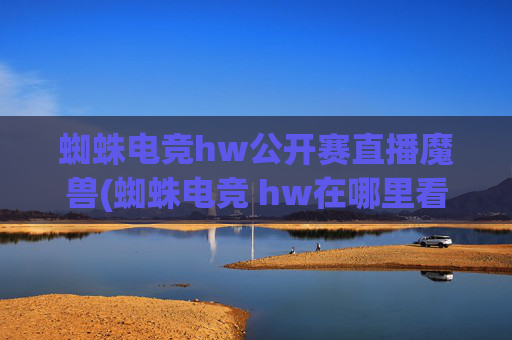 蜘蛛电竞hw公开赛直播魔兽(蜘蛛电竞 hw在哪里看)
