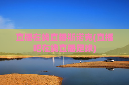 直播在线直播斯诺克(直播吧在线直播足球)