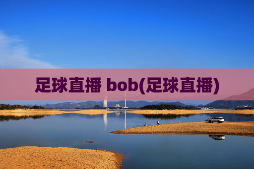 足球直播 bob(足球直播)