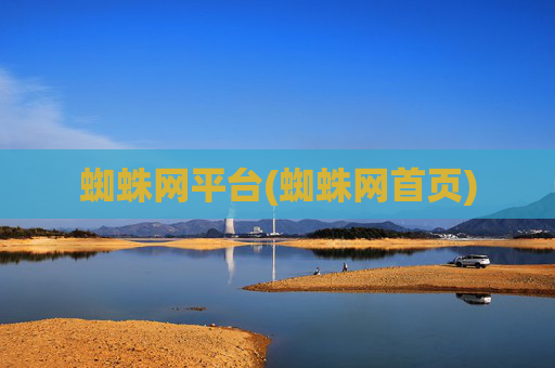 蜘蛛网平台(蜘蛛网首页)