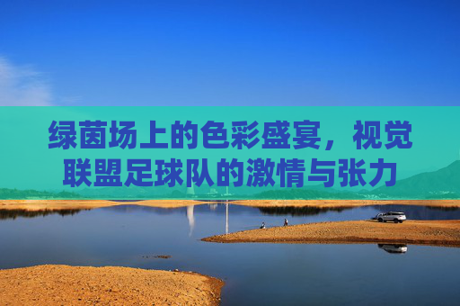 绿茵场上的色彩盛宴,视觉联盟足球队的激情与张力