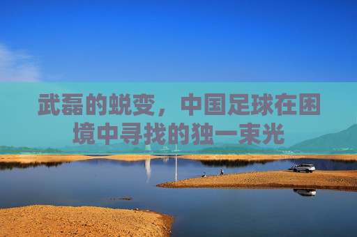 武磊的蜕变,中国足球在困境中寻找的独一束光