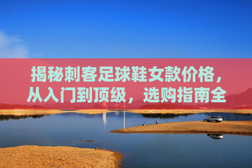 揭秘刺客足球鞋女款价格,从入门到顶级,选购指南全解析