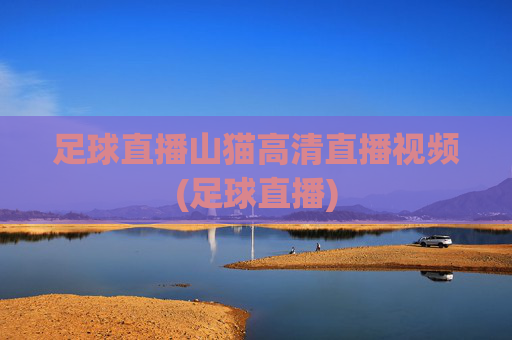 足球直播山猫高清直播视频(足球直播)