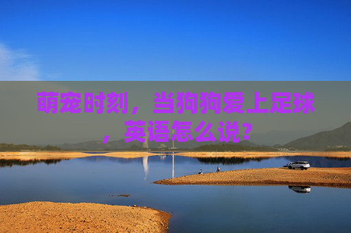 萌宠时刻,当狗狗爱上足球,英语怎么说?