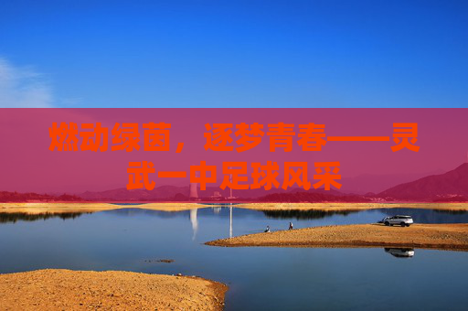 燃动绿茵,逐梦青春——灵武一中足球风采