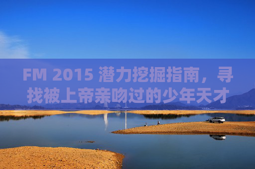 FM 2015 潜力挖掘指南,寻找被上帝亲吻过的少年天才